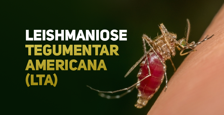 leishmaniose tegumentar americana