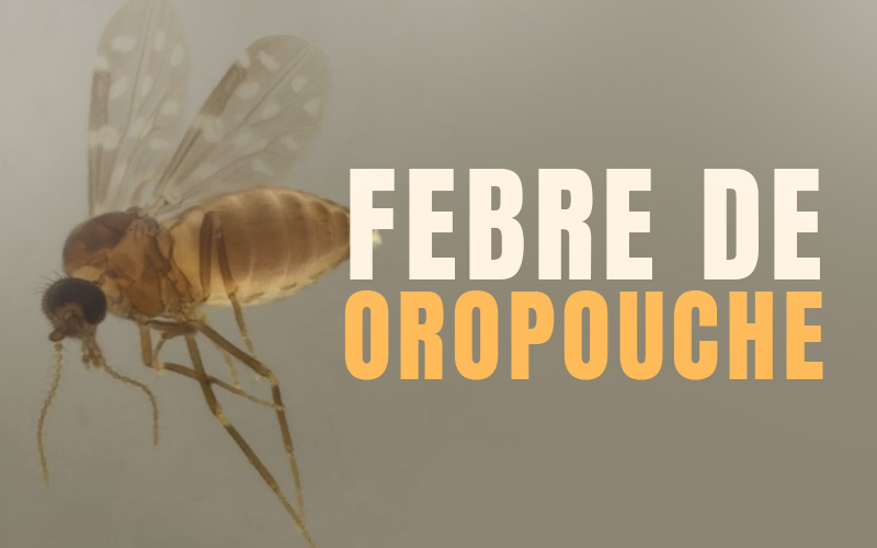 banner site oropouche