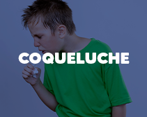 bannerCoqueluche