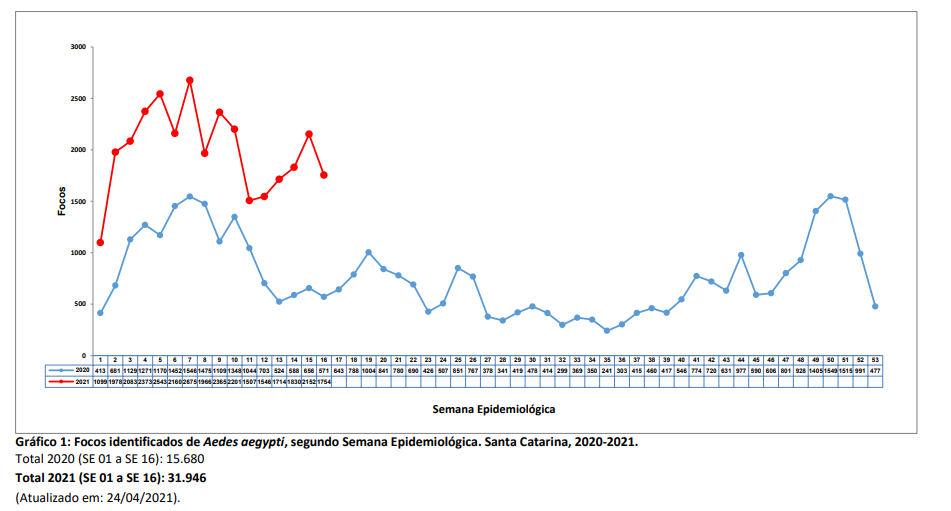 grafico1