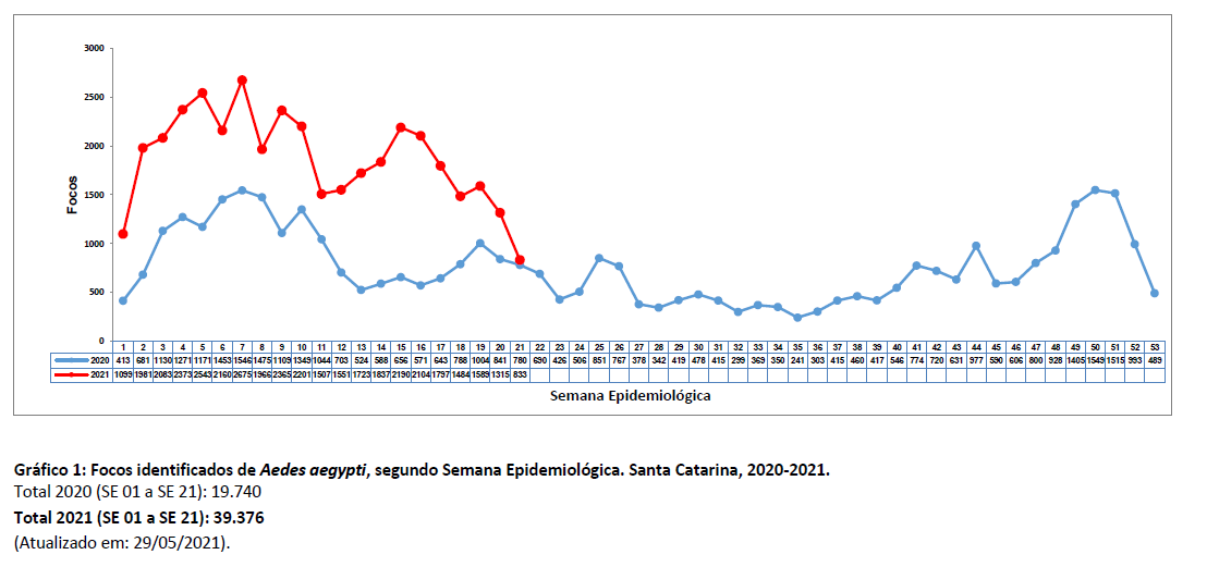 grafico1