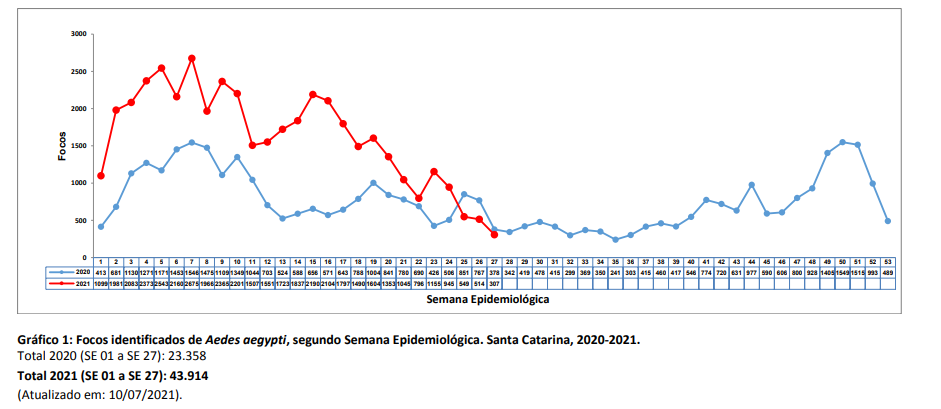 grafico1