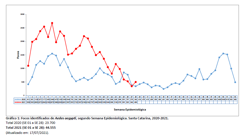 grafico1