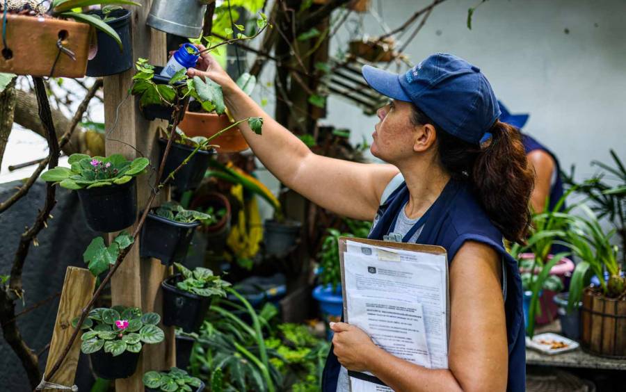 Dia D do combate à dengue: Secretaria de Estado da Saúde recomenda ações aos municípios